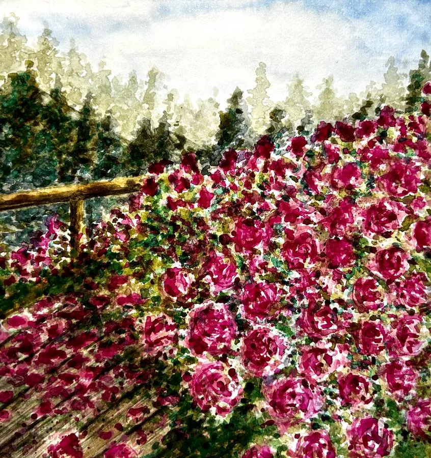Rose Garden, artwork by Shatabdi Mandal